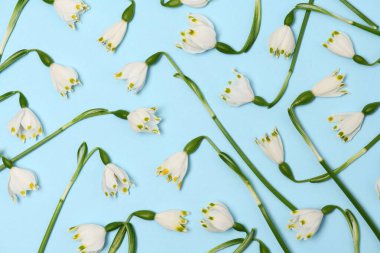 Açık mavi arkaplanda kar damlalarının düzenlenmesi