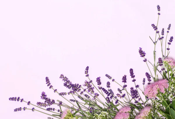 紫色の背景にラベンダーの花の美しいフレーム — ストック写真