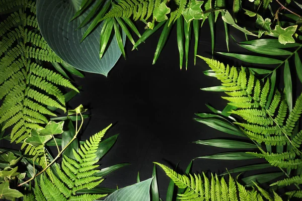 Bakgrund Blad Mörk Bakgrund — Stockfoto