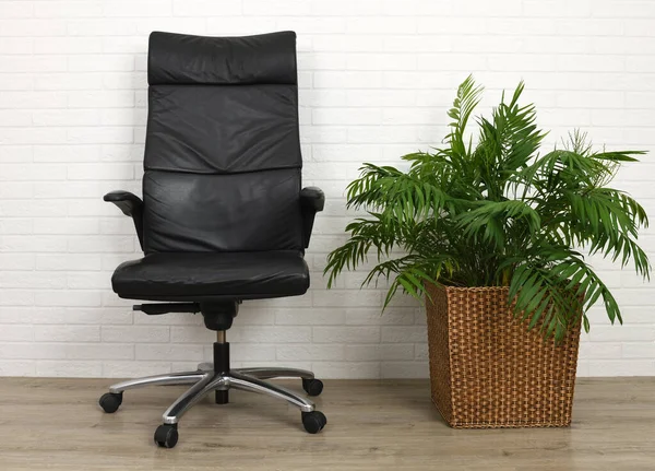 Office Armchair Houseplant Palm White Brick Background — Stock Photo, Image
