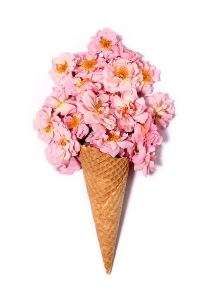 Розовый Цвет Конусе Мороженого Белом — стоковое фото