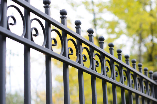 beautiful wrought fence. Image of a decorative cast iron fence. metal fence