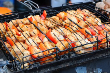 Bir ızgara üzerinde Marine Şaşlık ızgara. Şaşlık şiş kebap Doğu, Orta Avrupa ve diğer yerlerde popüler şeklidir.