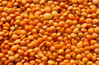 Mercimek. Yakın çekim kuru kırmızı mercimek.