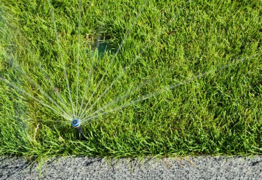 Otomatik yağmurlama kafa yeşil çim üzerinde su püskürtme.