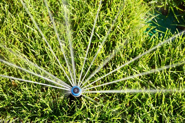 Automatic Sprinkler head spraying water over green grass. — Stock Photo, Image