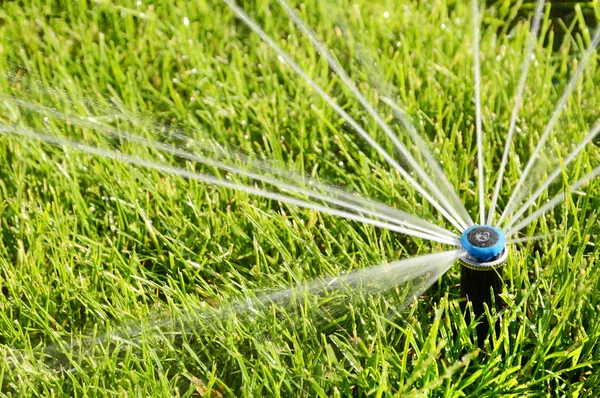 Automatic Sprinkler head spraying water over green grass. Royalty Free Stock Images