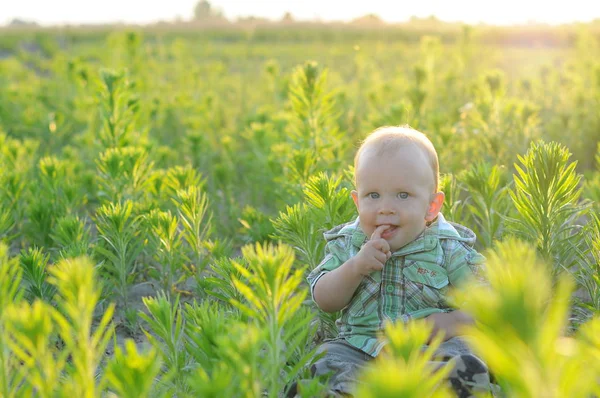 El niño está sentado en la hierba foto retroiluminada. bebé se sienta en los densos matorrales verdes. Niño feliz. — Foto de Stock