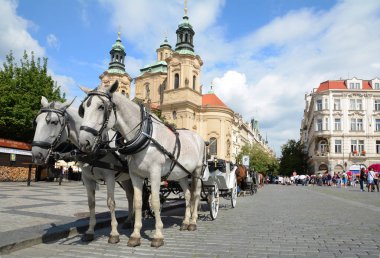 Prague, Çek Cumhuriyeti - 17 Temmuz 2017: at koşum takımı için eski şehir Meydanı Prag, Çek Cumhuriyeti