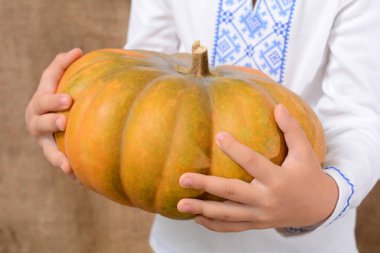 Küçük çocuk büyük bir turuncu kabak tutuyor