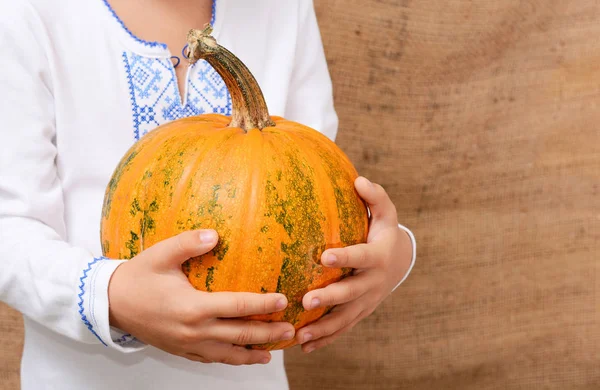 Küçük çocuk büyük bir turuncu kabak tutuyor