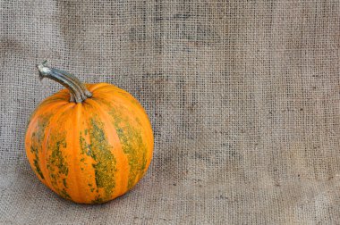 Arka plan çuval bezi üzerinde kabak. Sonbahar, hasat.