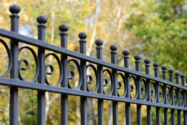 Gyönyörű kovácsoltvas kerítés. Kép egy dekoratív öntött vas kerítés. fém kerítés közelről. Fém kovácsolt kerítés. — Stock Fotó