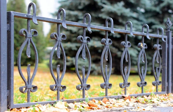 Mooie smeedijzeren hek. Afbeelding van een decoratieve gietijzeren hek. metalen hek close-up. — Stockfoto