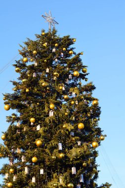 Noel ağacı mavi gökyüzü