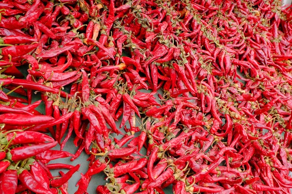Багато Сухого Червоного Перцю — стокове фото