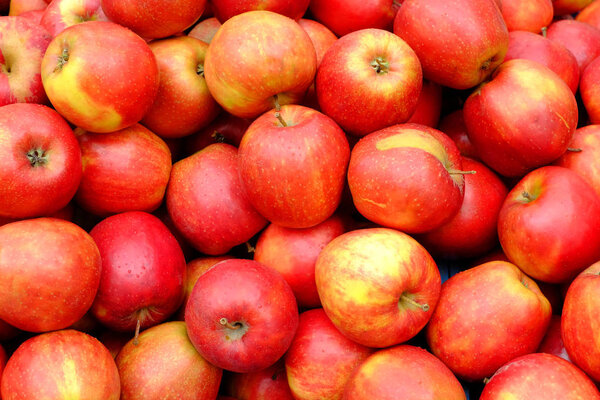 Appetizing red apples background