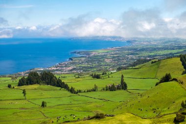 Atlantik Okyanusu arka planda çayırda otlatmak inekler güzel görünümü. Azores, Sao Miguel, Portekiz