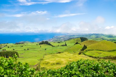 Atlantik Okyanusu arka planda çayırda otlatmak inekler güzel görünümü. Azores, Sao Miguel, Portekiz