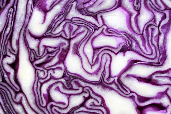 Macro Red Cabbage Detail Violet White Colors Background Texture — Stock Photo, Image