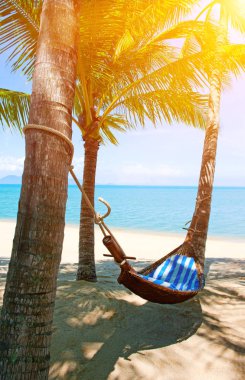 Güzel sahil. Sahildeki iki palmiye ağacının arasındaki hamak. Tatil ve tatil konsepti. Tropik plaj.