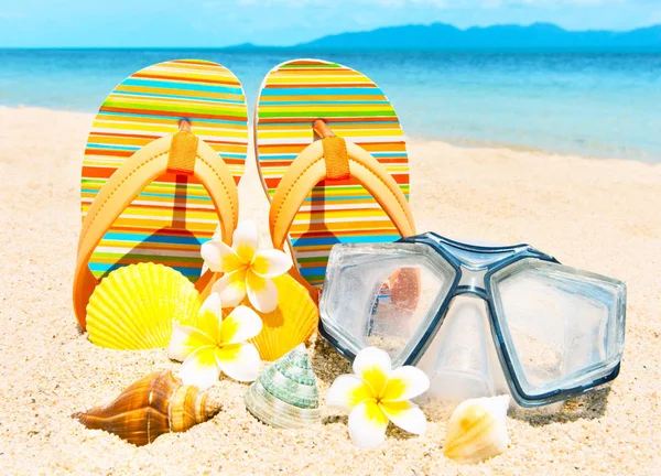 Seashells and diving mask on the sand. — Stock Photo, Image