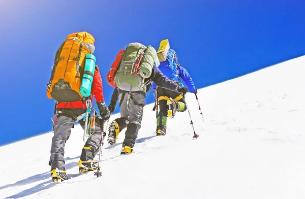 Skupina horolezců dosahuje vrcholu horského vrcholu. Horolezectví a horolezectví sport. Koncept týmové práce. — Stock fotografie