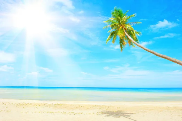 Bela praia. Vista da praia tropical agradável com palmas ao redor. Conceito de férias e férias. Praia tropical. — Fotografia de Stock