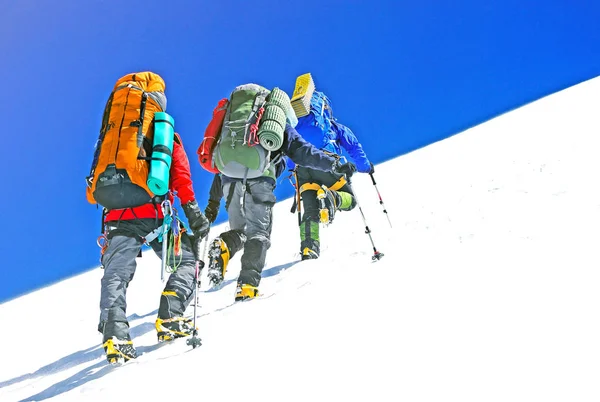 Μια ομάδα ορειβατών φτάνει στην κορυφή του βουνού. Αναρρίχηση και ορειβασία άθλημα. Έννοια της ομαδικής εργασίας. — Φωτογραφία Αρχείου