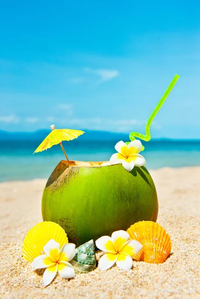 Holidays Background. Ocean beach with palm and and cocktail Stock Image
