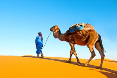 Deve kervan kumulları Sahara Çölü'nde geçiyor. Fas, Afrika