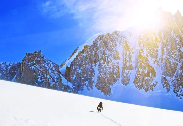 Escursionista con zaini raggiunge la vetta della montagna. Successo, libertà e felicità, conquista in montagna. Concetto sportivo attivo. — Foto Stock