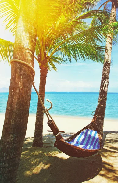 美丽的海滩在海滩上的两棵棕榈树之间挂着吊床 假期和假期的概念 热带海滩 — 图库照片