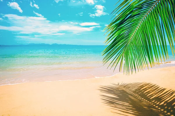 Hermosa Playa Soleada Vista Bonita Playa Tropical Con Palmeras Alrededor — Foto de Stock