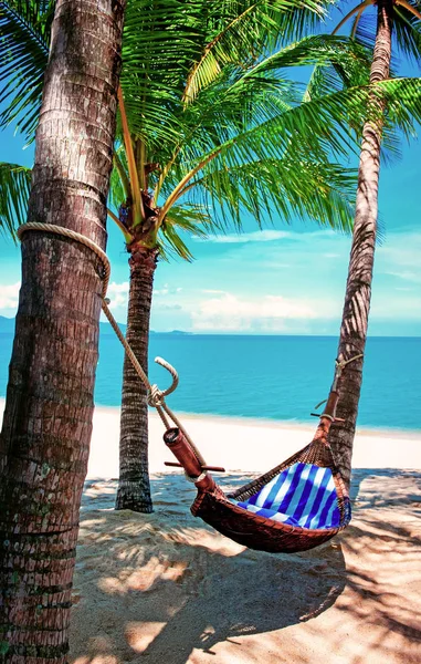沙滩上棕榈树间的空吊床 假期的概念 — 图库照片
