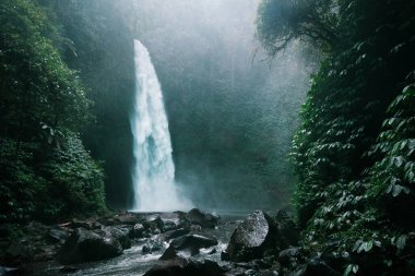 Tropikal ormanda saklı bir şelale. Bali 'deki şelale tropikal ormanlarla çevrili.