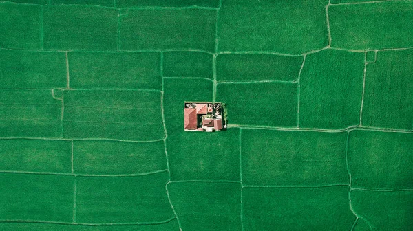 Ferme au milieu des champs verts, vue aérienne des lignes géométriques — Photo