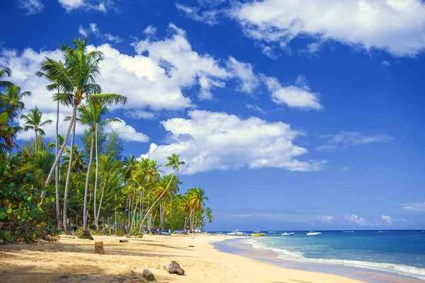 Paradiso. Spiaggia tropicale — Foto Stock