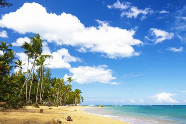 Paradicsom. Tropical beach — Stock Fotó