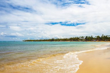 kumlu bir plaj tropikal