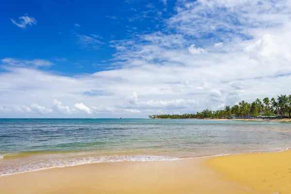 Sahilde Deniz Sörfü