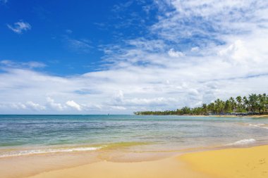 Sahilde Deniz Sörfü