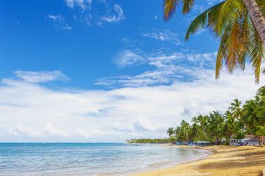 Tatil için ideal bir yer.