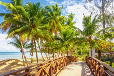 Sahile güneşli yolu