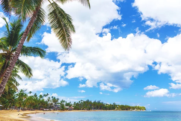 In paradiso. Spiaggia tropicale . — Foto Stock