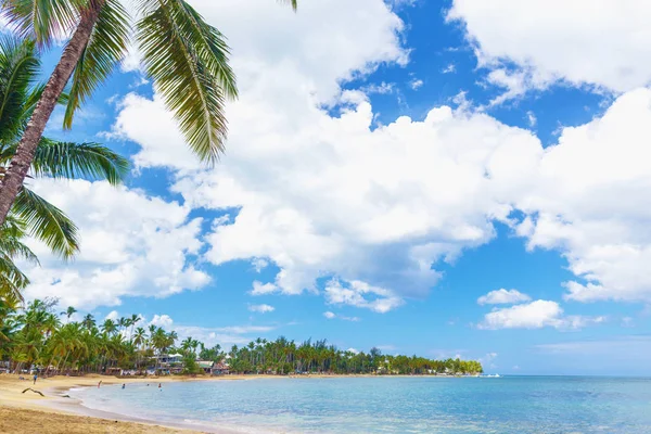 In paradiso. Spiaggia tropicale . — Foto Stock