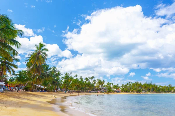 Paradiso. Spiaggia tropicale . — Foto Stock