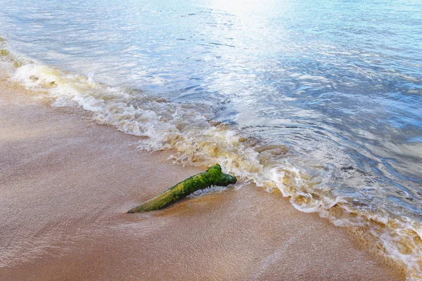 Registro en la playa — Foto de Stock