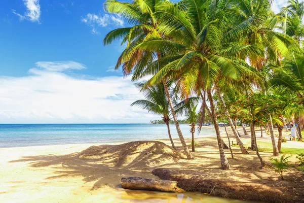 Рай. Тропический пляж . — стоковое фото