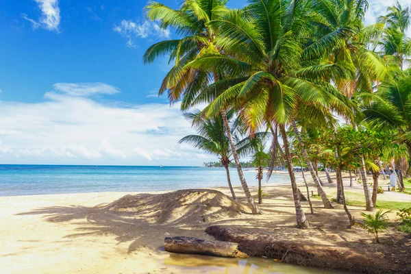 Рай. Тропический пляж . — стоковое фото